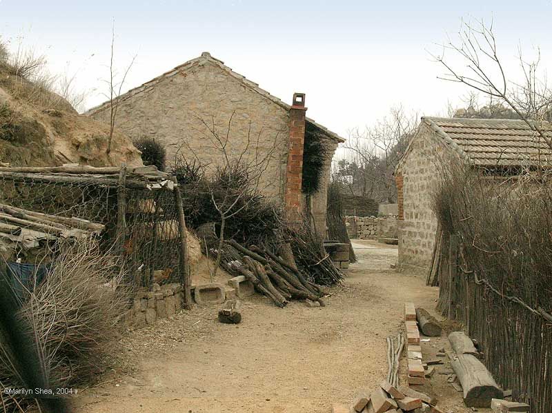 Stone building and chicken coop made of tree brances