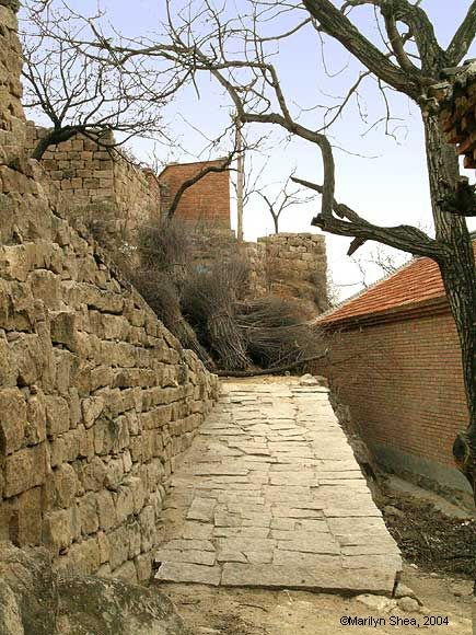 Stone walkway up past bundles of twigs