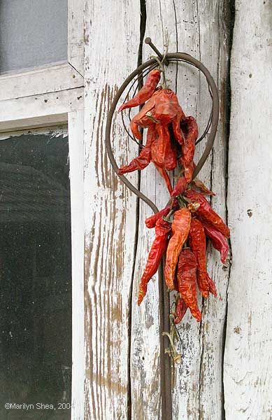 Red peppers hanging outside