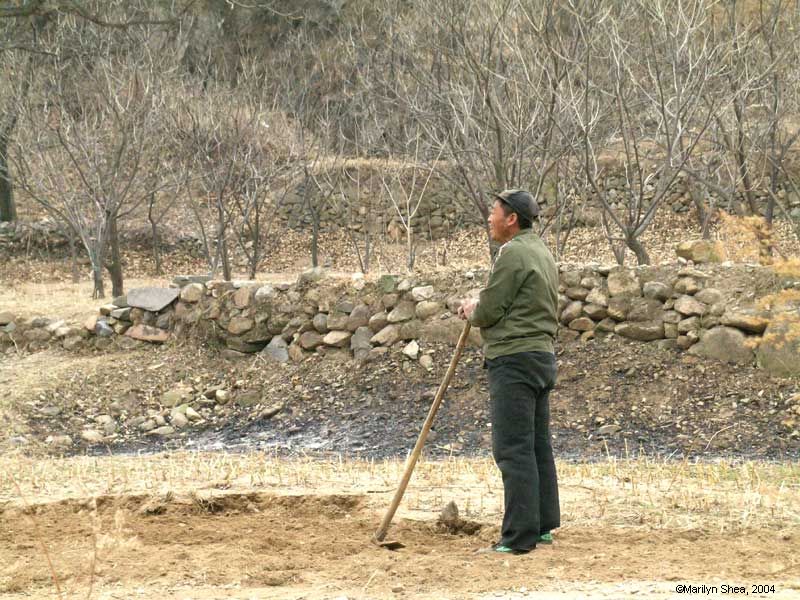 Man with hoe in freshly turned dirt