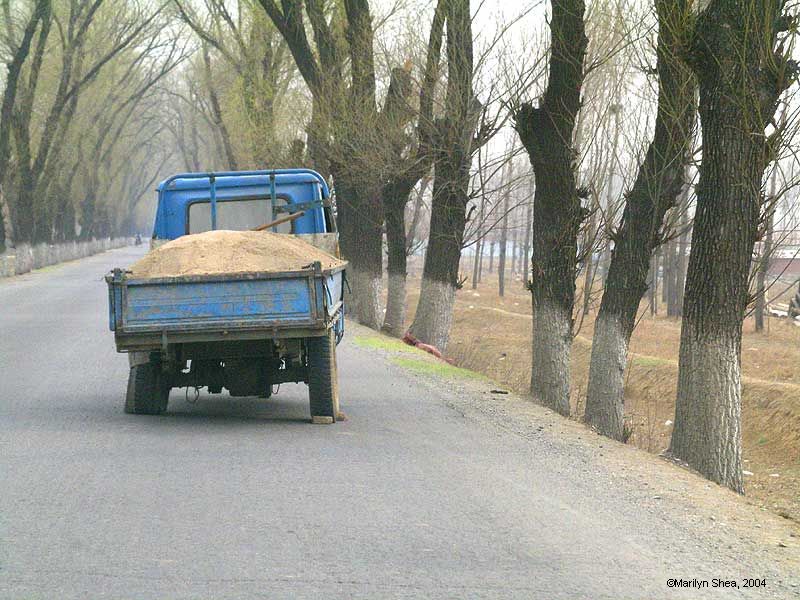 Small truck, full of grain, broken down in the middle of the road