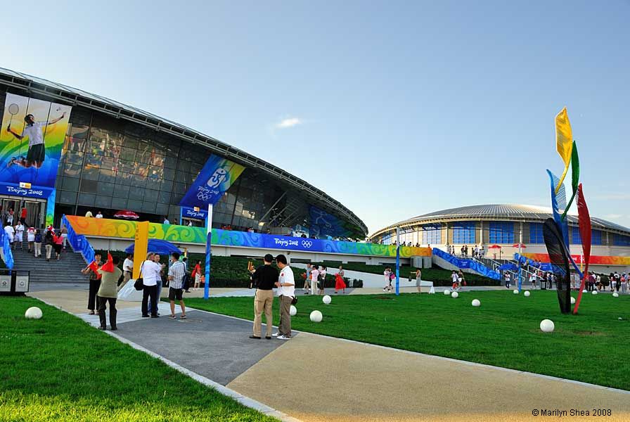 Multi-colored flame like shapes to reflect the multicolored scarves used in rythmic gymnastics