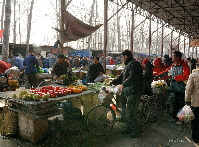 Tomatoes and Beans at the open air market