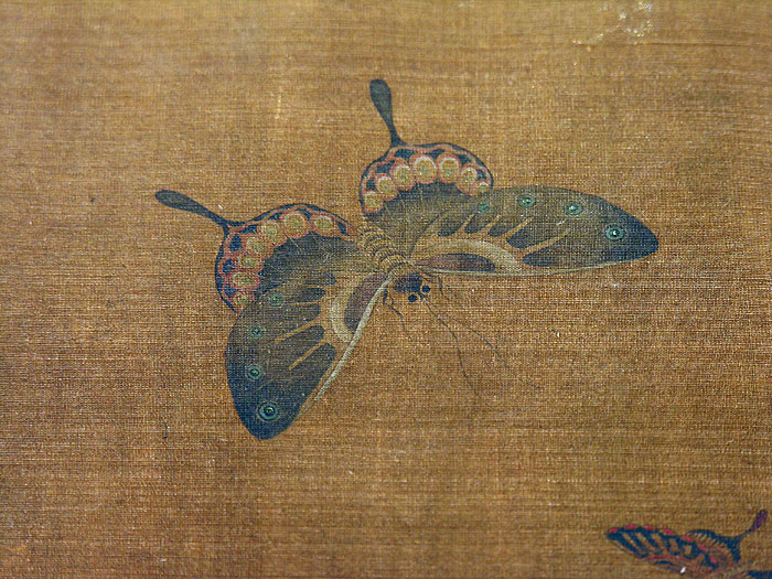 Butterfly Song Dynasty