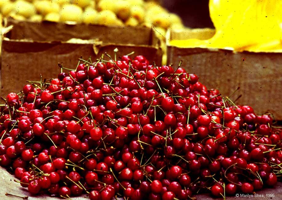 Xi'an Market 西安市场