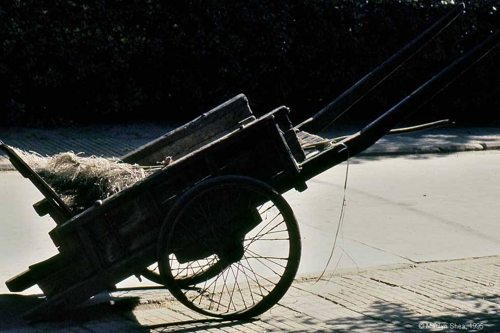 Market cart Xi'an Market 西安市场