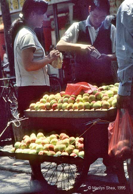 Xi'an Market 西安市场