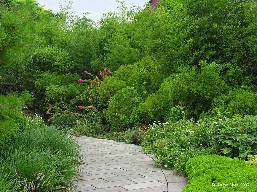 Xi'an Big Wild Goose Pagoda 大雁塔