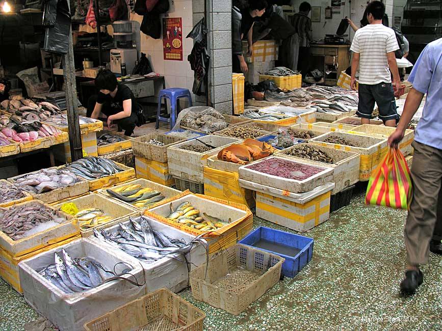 Xi'an Fish Market 西安市场