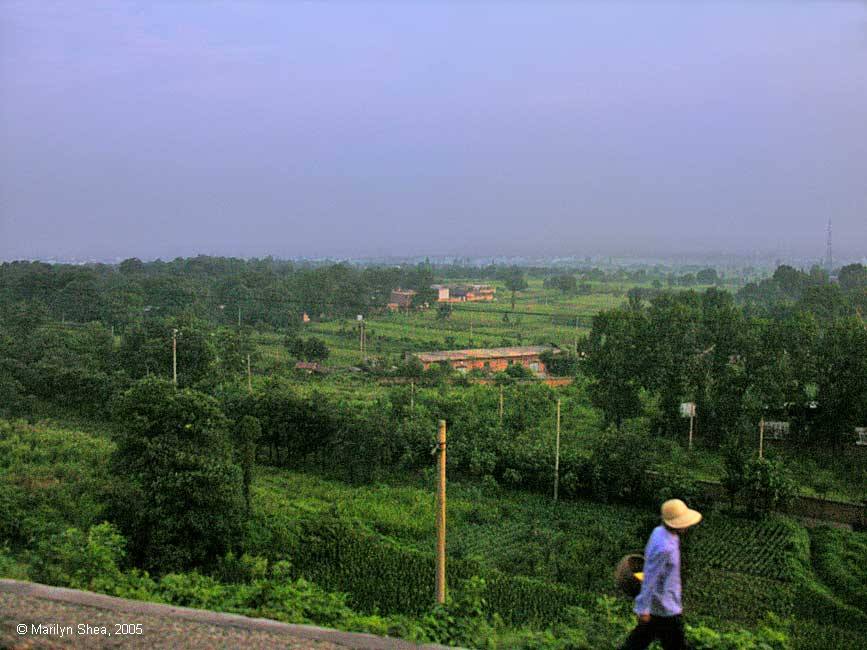 Shaanxi fields