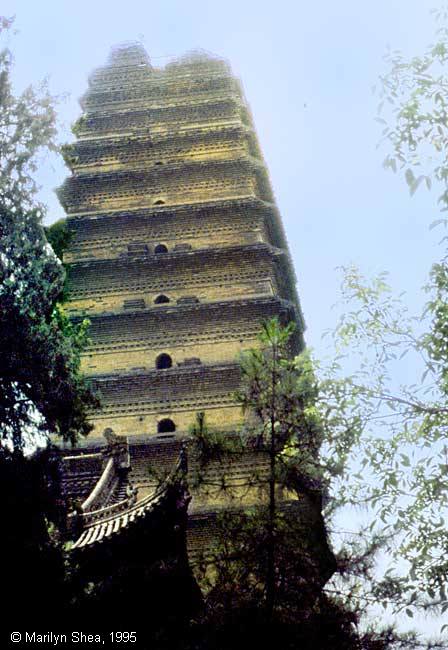 Small Wild Goose Pagoda 小雁塔