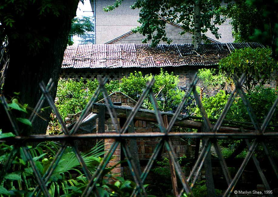 Garden at Small Wild Goose Pagoda 小雁塔