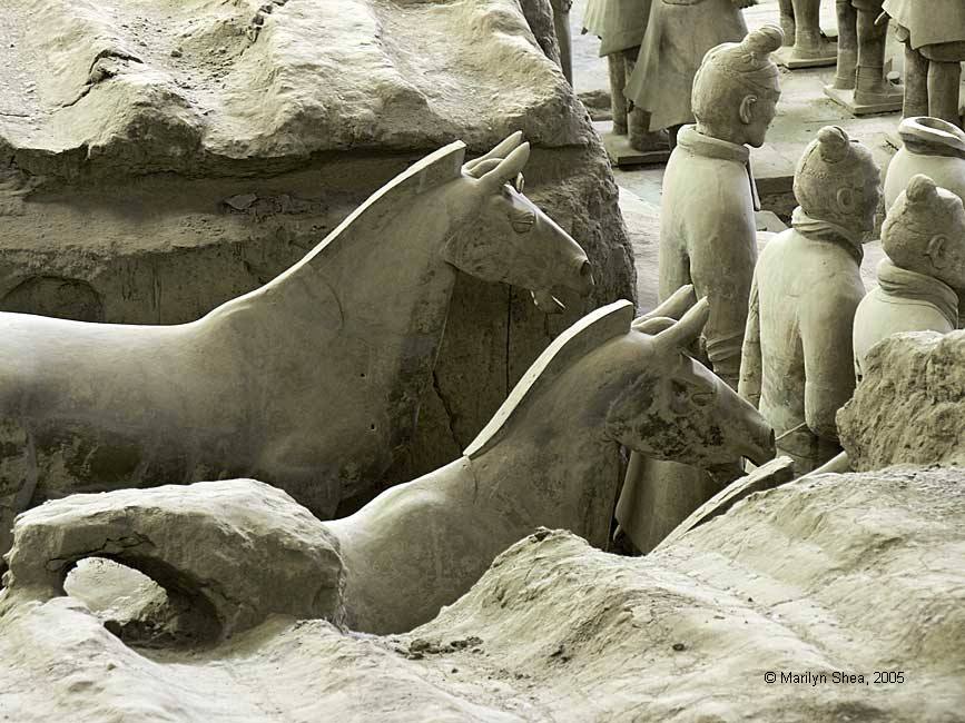 A pair of horses in Pit 1 at the Terracotta Warriors and Horses Museum in Xi'an. Terracotta Warriors 秦俑